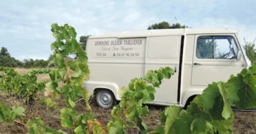 domaine ollier-taillefer_wines of languedoc